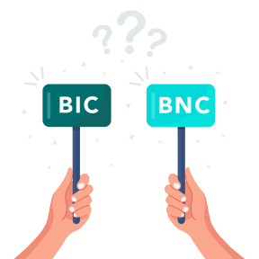 BIC ou BNC : quelles sont les différences ?