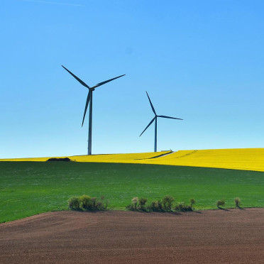 Développement durable