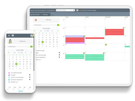 logiciel-plan-de-charge-expert-comptable