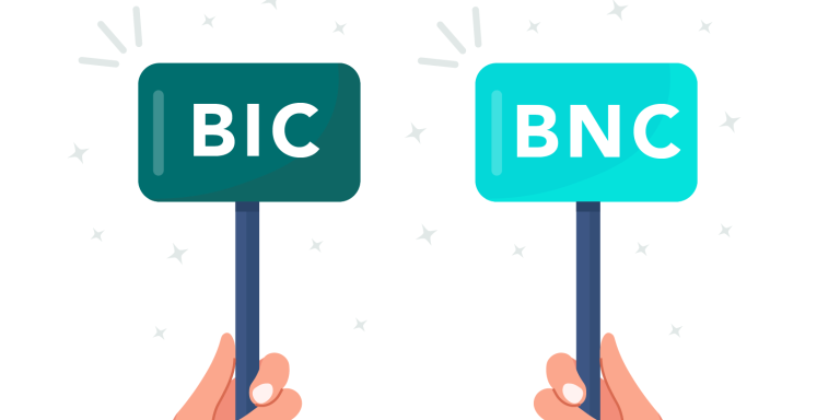 bic-vs-bnc-queoval-expert